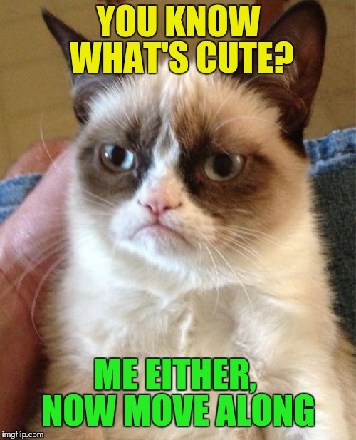 Grumpy Cat Meme | YOU KNOW WHAT'S CUTE? ME EITHER,  NOW MOVE ALONG | image tagged in memes,grumpy cat | made w/ Imgflip meme maker