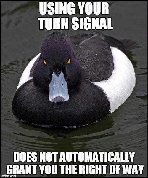 hi res angry advice mallard | USING YOUR TURN SIGNAL; DOES NOT AUTOMATICALLY GRANT YOU THE RIGHT OF WAY | image tagged in hi res angry advice mallard,AdviceAnimals | made w/ Imgflip meme maker