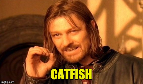 One Does Not Simply Meme | CATFISH | image tagged in memes,one does not simply | made w/ Imgflip meme maker