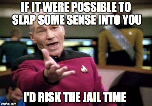 Picard Wtf Meme | IF IT WERE POSSIBLE TO SLAP SOME SENSE INTO YOU; I'D RISK THE JAIL TIME | image tagged in memes,picard wtf | made w/ Imgflip meme maker