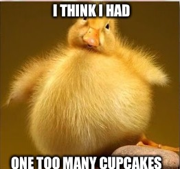 Dook | I THINK I HAD; ONE TOO MANY CUPCAKES | image tagged in dook | made w/ Imgflip meme maker