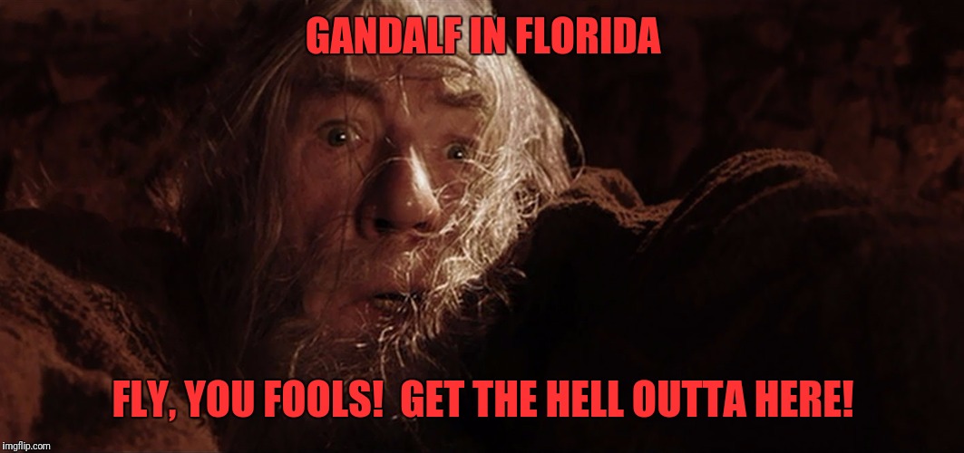 GANDALF IN FLORIDA; FLY, YOU FOOLS!  GET THE HELL OUTTA HERE! | image tagged in moria | made w/ Imgflip meme maker
