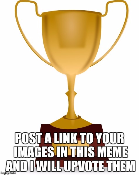 post your links on this image, and i will upvote them | POST A LINK TO YOUR IMAGES IN THIS MEME AND I WILL UPVOTE THEM | image tagged in blank trophy | made w/ Imgflip meme maker