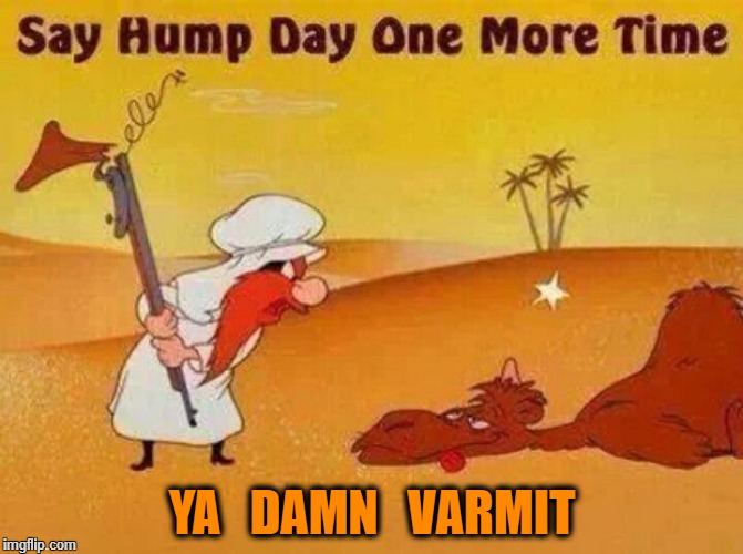 Hump Day | YA   DAMN   VARMIT | image tagged in hump day | made w/ Imgflip meme maker