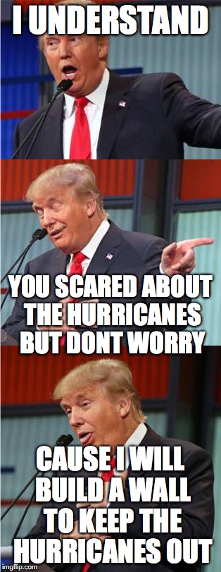 Bad Pun Trump | I UNDERSTAND; YOU SCARED ABOUT THE HURRICANES BUT DONT WORRY; CAUSE I WILL BUILD A WALL TO KEEP THE HURRICANES OUT | image tagged in bad pun trump | made w/ Imgflip meme maker