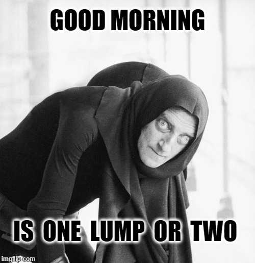 Hump Day | GOOD MORNING; IS  ONE  LUMP  OR  TWO | image tagged in hump day | made w/ Imgflip meme maker