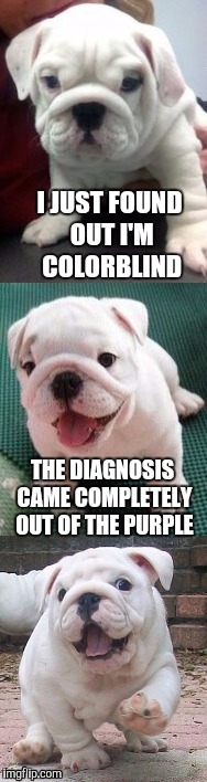 It's Puppy Week! - a Lordcakethief Event, June 11th -17th | I JUST FOUND OUT I'M COLORBLIND; THE DIAGNOSIS CAME COMPLETELY OUT OF THE PURPLE | image tagged in bad pun bulldog pup,bad pun,jbmemegeek,bad pun dog,jokes,puppy week | made w/ Imgflip meme maker