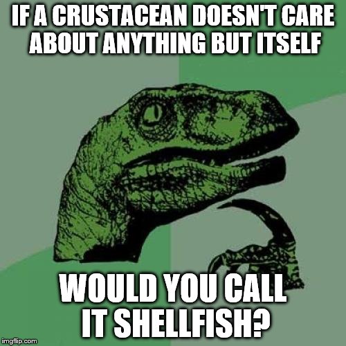 Philosoraptor | IF A CRUSTACEAN DOESN'T CARE ABOUT ANYTHING BUT ITSELF; WOULD YOU CALL IT SHELLFISH? | image tagged in memes,philosoraptor | made w/ Imgflip meme maker
