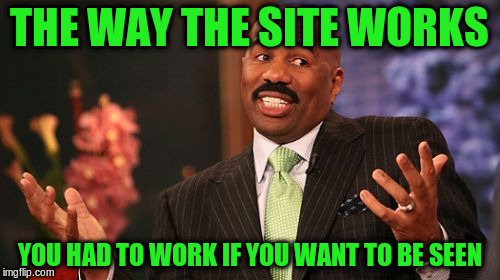 Steve Harvey Meme | THE WAY THE SITE WORKS YOU HAD TO WORK IF YOU WANT TO BE SEEN | image tagged in memes,steve harvey | made w/ Imgflip meme maker