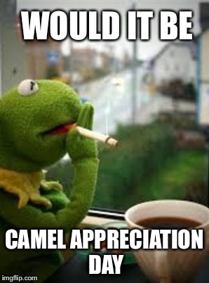 WOULD IT BE CAMEL APPRECIATION DAY | made w/ Imgflip meme maker