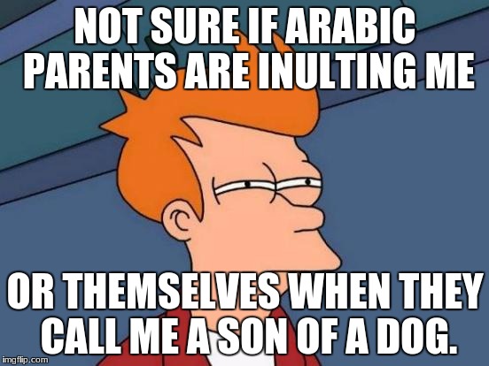 Futurama Fry | NOT SURE IF ARABIC PARENTS ARE INULTING ME; OR THEMSELVES WHEN THEY CALL ME A SON OF A DOG. | image tagged in memes,futurama fry | made w/ Imgflip meme maker