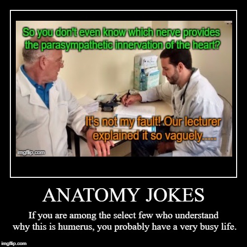 Medical joke + demotivational | image tagged in funny,demotivationals,medical school,medicine,anatomy,jokes | made w/ Imgflip demotivational maker