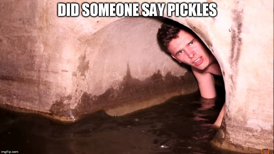 DID SOMEONE SAY PICKLES | image tagged in pickle hunter | made w/ Imgflip meme maker