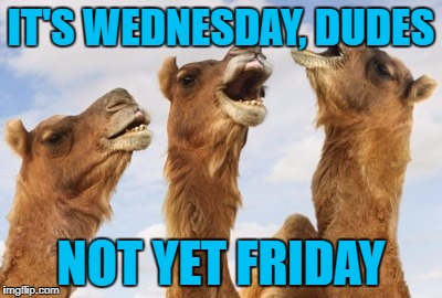 wednesday | IT'S WEDNESDAY, DUDES; NOT YET FRIDAY | image tagged in wednesday | made w/ Imgflip meme maker
