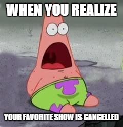 Cancelled Shows Everywhere | WHEN YOU REALIZE; YOUR FAVORITE SHOW IS CANCELLED | image tagged in suprised patrick,spongebob,memes,patrick | made w/ Imgflip meme maker
