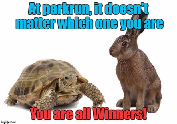 tortoise hare | At parkrun, it doesn't matter which one you are; You are all Winners! | image tagged in tortoise hare | made w/ Imgflip meme maker