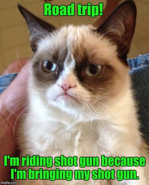 Grumpy Cat Meme | Road trip! I'm riding shot gun because I'm bringing my shot gun. | image tagged in memes,grumpy cat | made w/ Imgflip meme maker