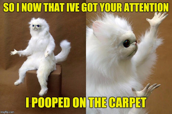 Persian Cat Room Guardian | SO I NOW THAT IVE GOT YOUR ATTENTION; I POOPED ON THE CARPET | image tagged in memes,persian cat room guardian | made w/ Imgflip meme maker