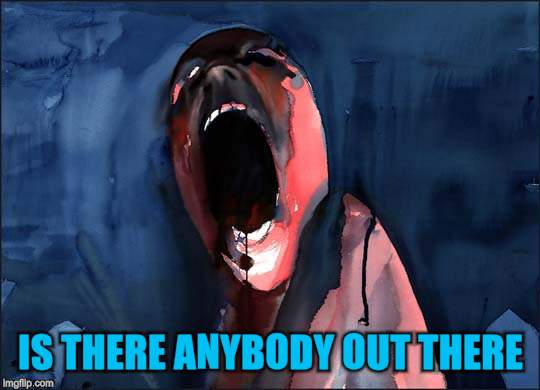 Pink Floyd Scream | IS THERE ANYBODY OUT THERE | image tagged in pink floyd scream | made w/ Imgflip meme maker