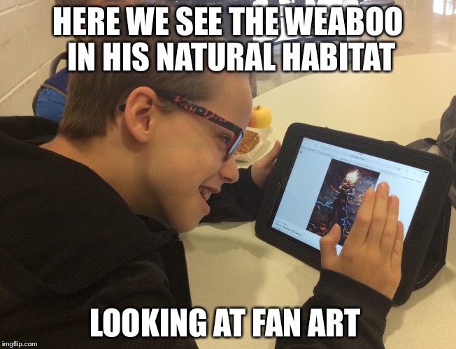 HERE WE SEE THE WEABOO IN HIS NATURAL HABITAT; LOOKING AT FAN ART | image tagged in funny,memes,anime,animeme,fanart,weaboo | made w/ Imgflip meme maker