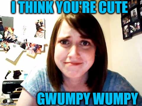 I THINK YOU'RE CUTE GWUMPY WUMPY | made w/ Imgflip meme maker