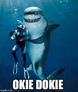 OKIE DOKIE | made w/ Imgflip meme maker