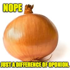 NOPE JUST A DIFFERENCE OF OPONION. | made w/ Imgflip meme maker