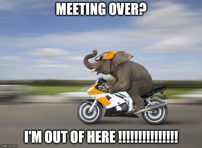 fast elephant | MEETING OVER? I'M OUT OF HERE !!!!!!!!!!!!!!! | image tagged in fast elephant | made w/ Imgflip meme maker