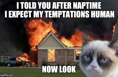 Burn Kitty Meme | I TOLD YOU AFTER NAPTIME I EXPECT MY TEMPTATIONS HUMAN; NOW LOOK | image tagged in memes,burn kitty,grumpy cat | made w/ Imgflip meme maker