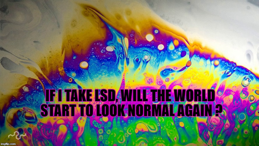 If I take LSD, will the world start to look normal again? | IF I TAKE LSD, WILL THE WORLD START TO LOOK NORMAL AGAIN ? | image tagged in lsd politics | made w/ Imgflip meme maker