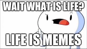 What is life? Life is memes | WAIT WHAT IS LIFE? LIFE IS MEMES | image tagged in memes | made w/ Imgflip meme maker
