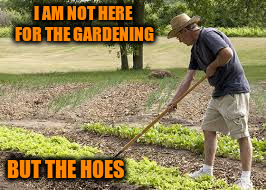 I AM NOT HERE FOR THE GARDENING BUT THE HOES | made w/ Imgflip meme maker