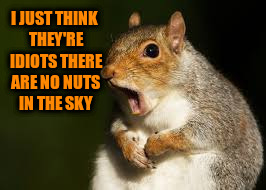 I JUST THINK THEY'RE IDIOTS THERE ARE NO NUTS IN THE SKY | made w/ Imgflip meme maker