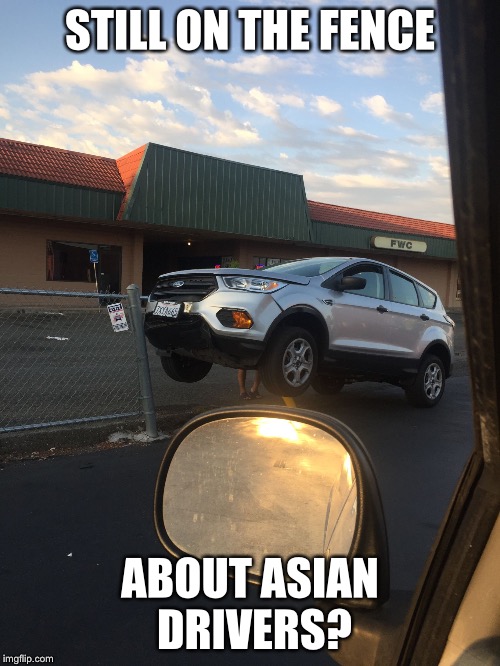 STILL ON THE FENCE; ABOUT ASIAN DRIVERS? | image tagged in asian drivers | made w/ Imgflip meme maker