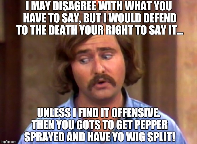 Right to be Un-offended | I MAY DISAGREE WITH WHAT YOU HAVE TO SAY, BUT I WOULD DEFEND TO THE DEATH YOUR RIGHT TO SAY IT... UNLESS I FIND IT OFFENSIVE. THEN YOU GOTS TO GET PEPPER SPRAYED AND HAVE YO WIG SPLIT! | image tagged in all in the family,1st amendment | made w/ Imgflip meme maker