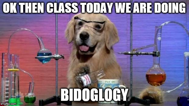 Chemistry Dog | OK THEN CLASS TODAY WE ARE DOING; BIDOGLOGY | image tagged in chemistry dog | made w/ Imgflip meme maker