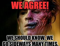 Two Face Knows | WE AGREE! WE SHOULD KNOW. WE GO SIDEWAYS MANY TIMES. | image tagged in two face knows | made w/ Imgflip meme maker