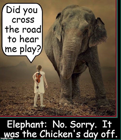 Close Encounters of the Elephant Kind | Did you cross the road to hear me play? Elephant:  No. Sorry.  It was the Chicken's day off. | image tagged in vince vance,girl with violin,elephants,elephant in the room,why did the chicken cross the road,elephant talking to girl | made w/ Imgflip meme maker