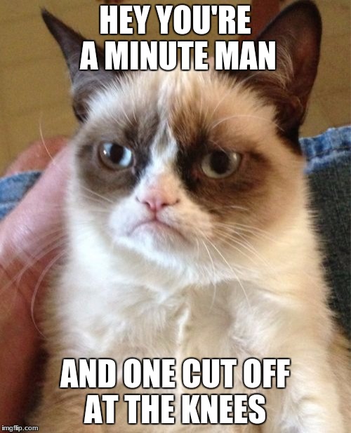 Grumpy Cat Meme | HEY YOU'RE A MINUTE MAN AND ONE CUT OFF AT THE KNEES | image tagged in memes,grumpy cat | made w/ Imgflip meme maker