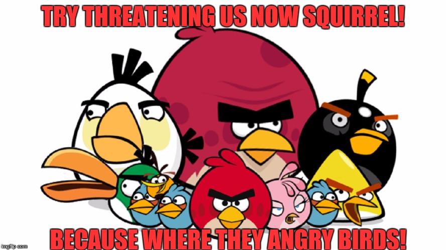 Varry Angry Birds | TRY THREATENING US NOW SQUIRREL! BECAUSE WHERE THEY ANGRY BIRDS! | image tagged in varry angry birds | made w/ Imgflip meme maker