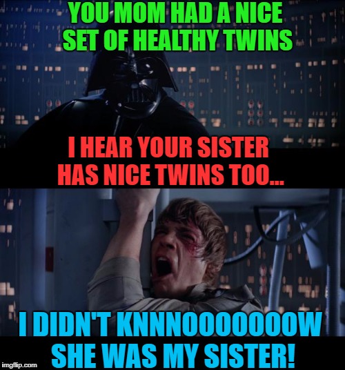 Luke Didn't Know ¯\_(ツ)_/¯ | YOU MOM HAD A NICE SET OF HEALTHY TWINS; I HEAR YOUR SISTER HAS NICE TWINS TOO... I DIDN'T KNNNOOOOOOOW SHE WAS MY SISTER! | image tagged in memes,star wars no | made w/ Imgflip meme maker