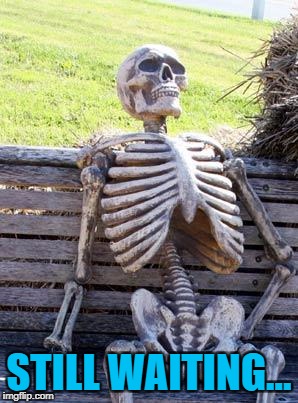 Waiting Skeleton Meme | STILL WAITING... | image tagged in memes,waiting skeleton | made w/ Imgflip meme maker