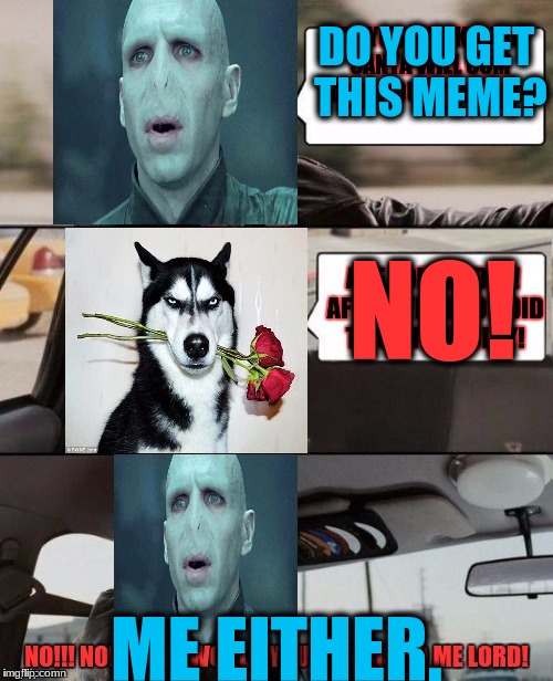 voldemort driving | DO YOU GET THIS MEME? ME EITHER. NO! | image tagged in voldemort driving | made w/ Imgflip meme maker