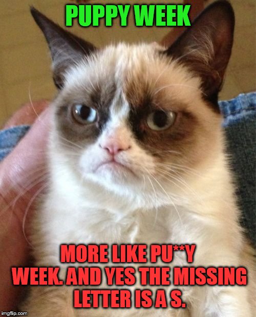 Grumpy Cat - lol so funny! | PUPPY WEEK; MORE LIKE PU**Y WEEK. AND YES THE MISSING LETTER IS A S. | image tagged in memes,grumpy cat | made w/ Imgflip meme maker