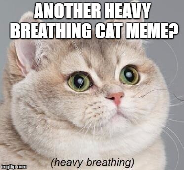 Heavy Breathing Cat Meme | ANOTHER HEAVY BREATHING CAT MEME? | image tagged in memes,heavy breathing cat | made w/ Imgflip meme maker
