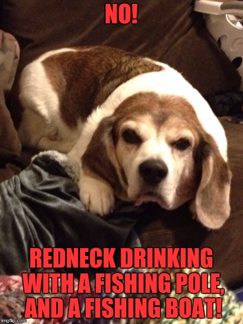 Grumpy Beagle | NO! REDNECK DRINKING WITH A FISHING POLE, AND A FISHING BOAT! | image tagged in grumpy beagle | made w/ Imgflip meme maker