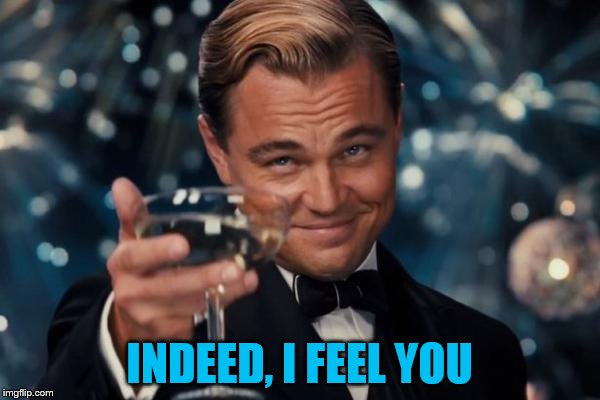 Leonardo Dicaprio Cheers Meme | INDEED, I FEEL YOU | image tagged in memes,leonardo dicaprio cheers | made w/ Imgflip meme maker