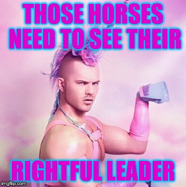 I'm THE ONE WHO RULES NOW | THOSE HORSES NEED TO SEE THEIR; RIGHTFUL LEADER | image tagged in memes,unicorn man | made w/ Imgflip meme maker