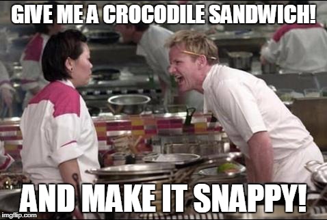 Angry Chef Gordon Ramsay | GIVE ME A CROCODILE SANDWICH! AND MAKE IT SNAPPY! | image tagged in memes,angry chef gordon ramsay | made w/ Imgflip meme maker