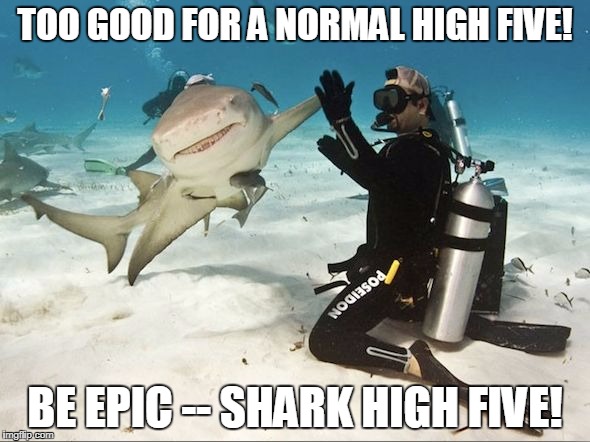 High Five Shark | TOO GOOD FOR A NORMAL HIGH FIVE! BE EPIC -- SHARK HIGH FIVE! | image tagged in high five shark | made w/ Imgflip meme maker